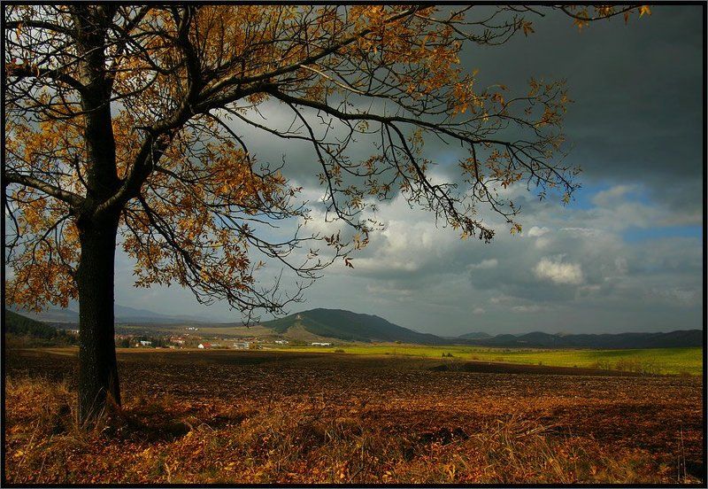 Autumn passionphoto preview