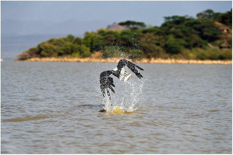 Рыбак по природе.photo preview