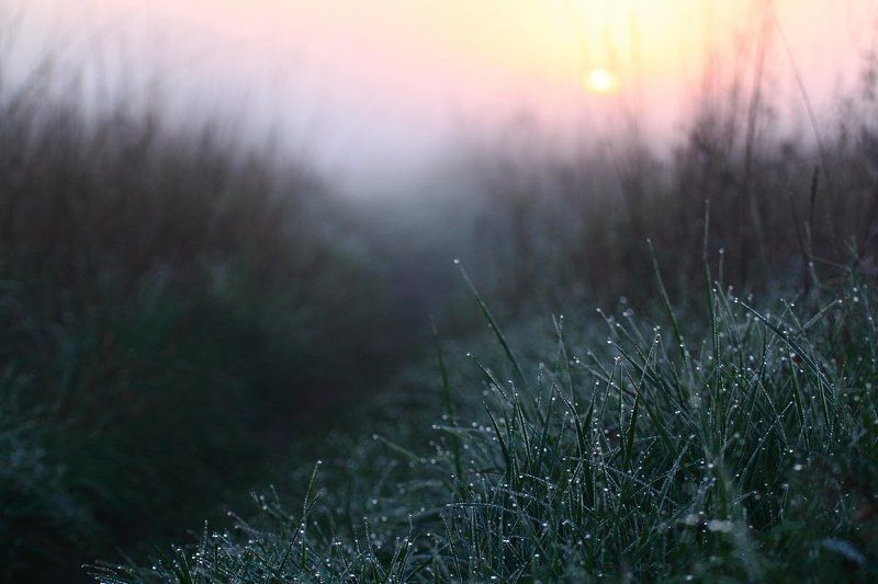 На пути к солнцуphoto preview