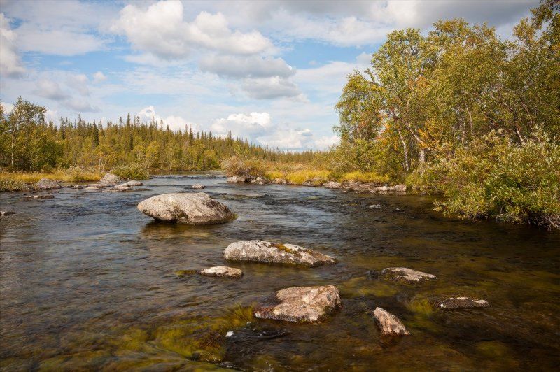 кольский, полуостров, река, рамозеро ***** фото превью