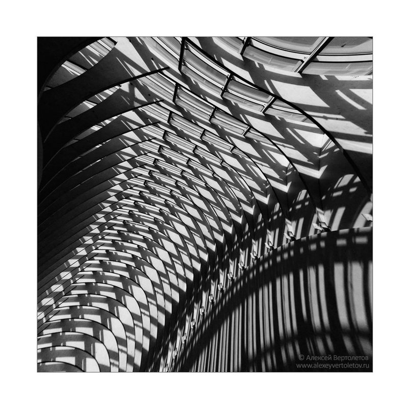 ЭЛЕМЕНТарная фотографияphoto preview