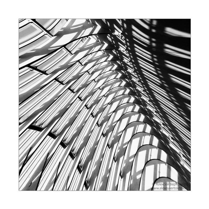 ЭЛЕМЕНТарная фотографияphoto preview