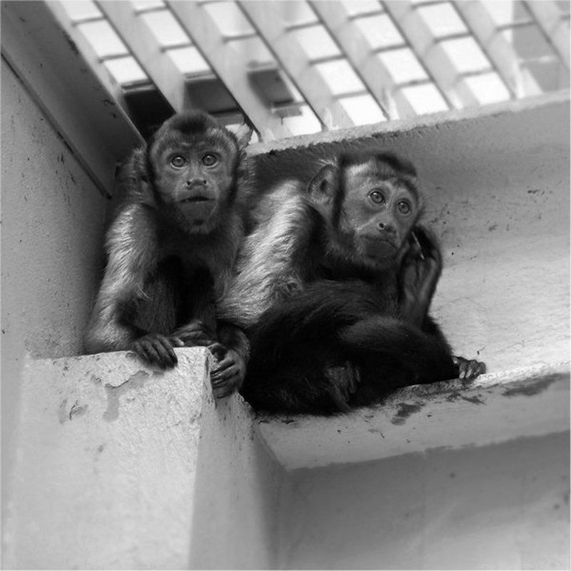 Грусть... фото превью