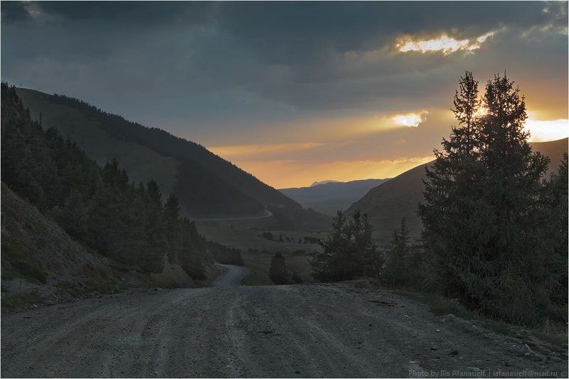 фотосафари, киргизия Киргизия в августе четыреphoto preview