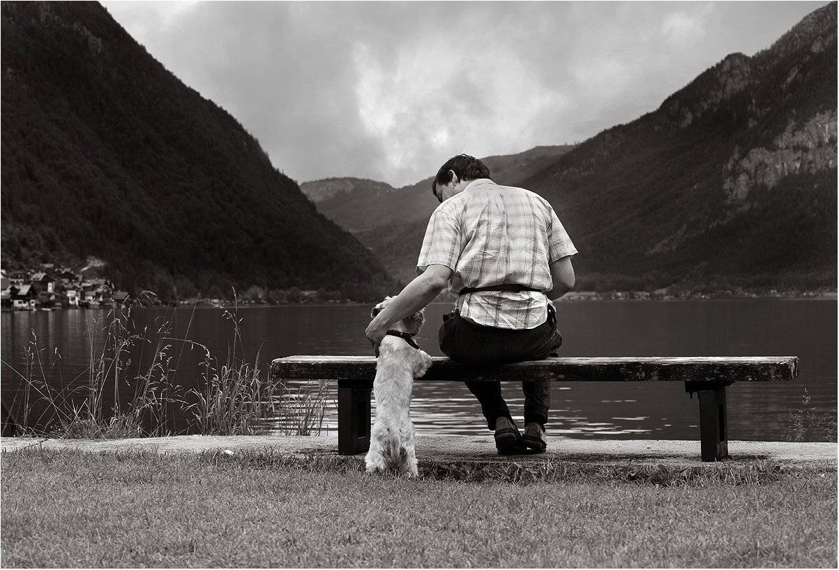 Amigos para Siempre. Автор: Вика Иванова , Вика Иванова