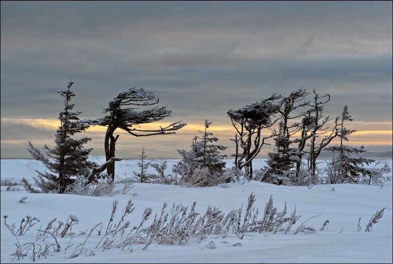 Зимнее  утроphoto preview