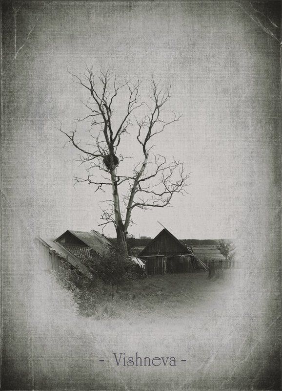 Vishnevaphoto preview