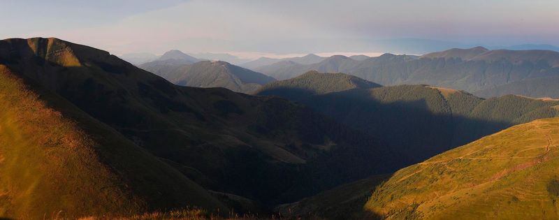 до, небес. Синий лес. фото превью