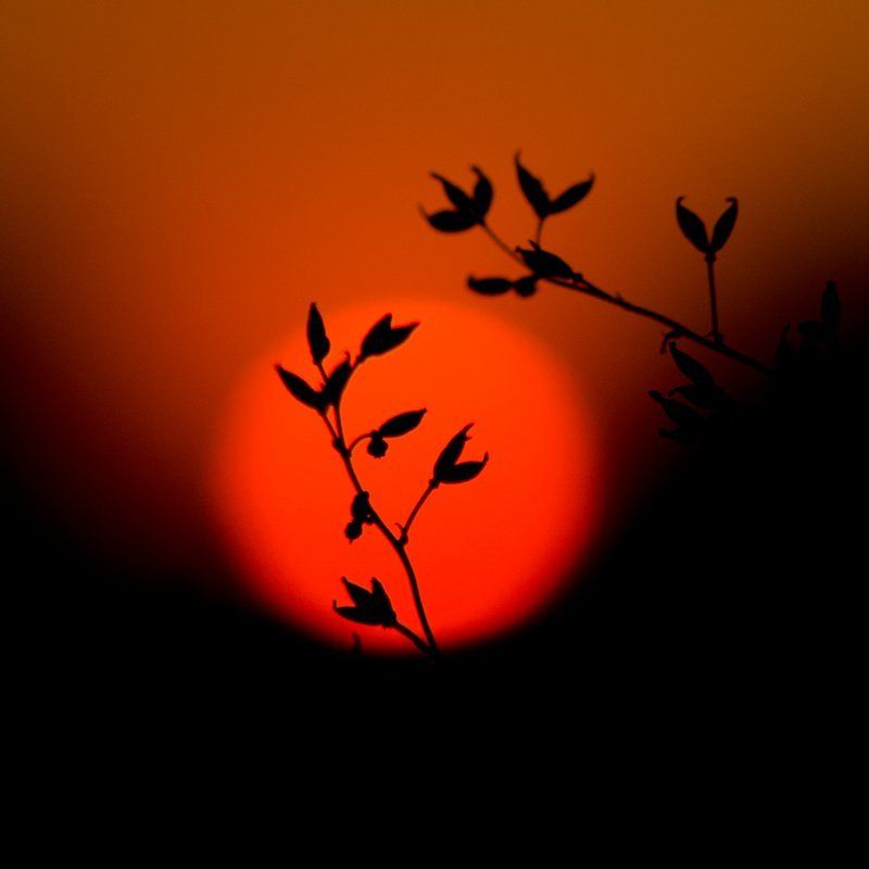 Обнимая солнышко...photo preview