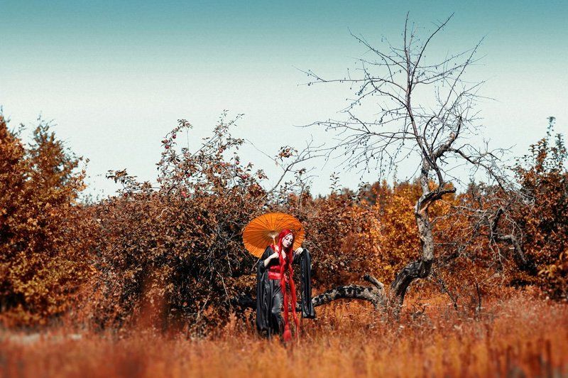 японские мотивыphoto preview