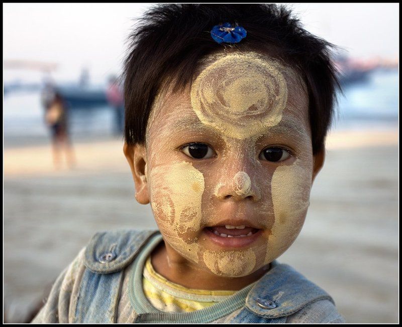 бирма, девочка, бирманочка Бирманочка....photo preview