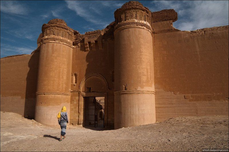 сирия Qasr El-Heir El-Sharqiphoto preview