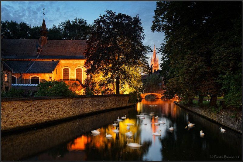 brugge Лебединое озероphoto preview