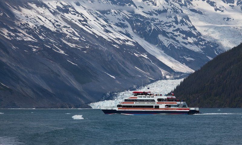 В краю нетающих льдов. Glacier Bay.photo preview