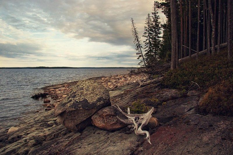 россия, карелия, сегозеро, пейзаж, лес, берег, вода, озеро, камень, коряга, небо, dyadyavasya Каменный берегphoto preview