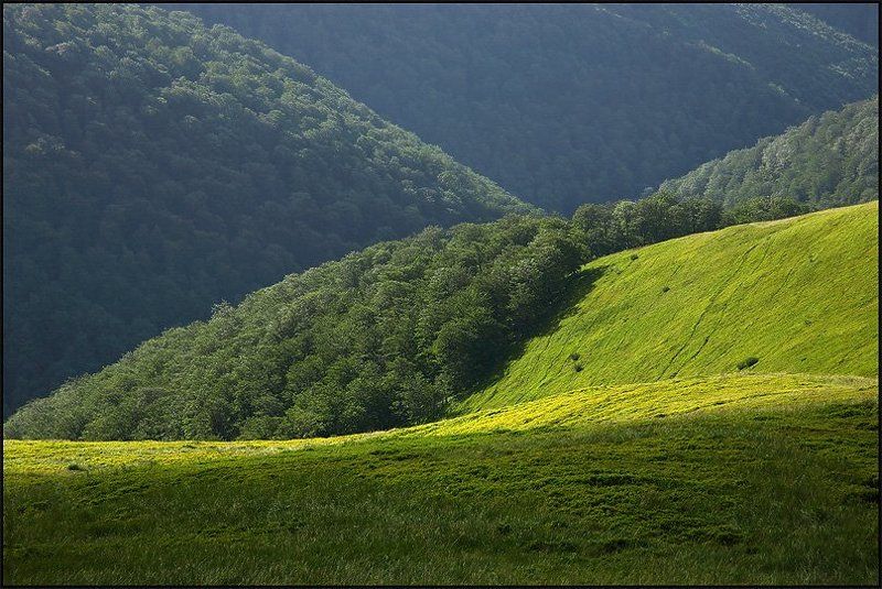 карпаты хвилька...(волна),(wave) фото превью