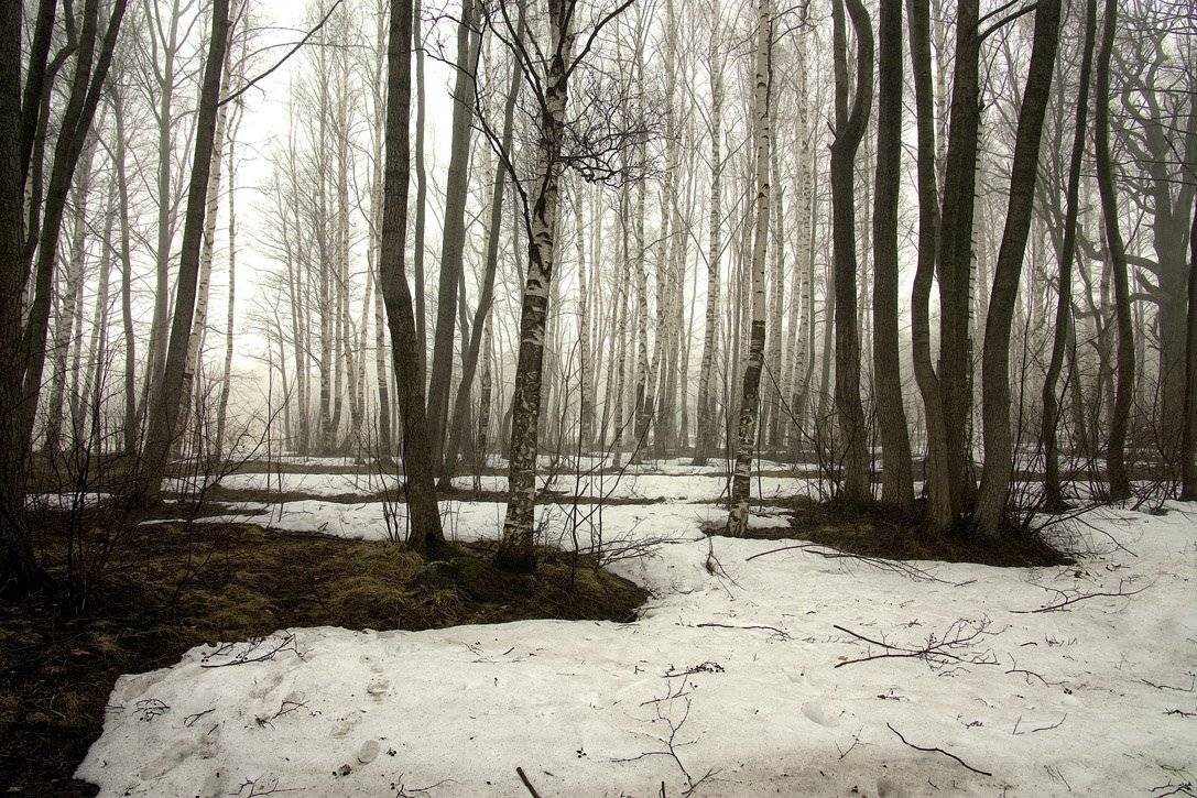 , Владимир Георгиевич