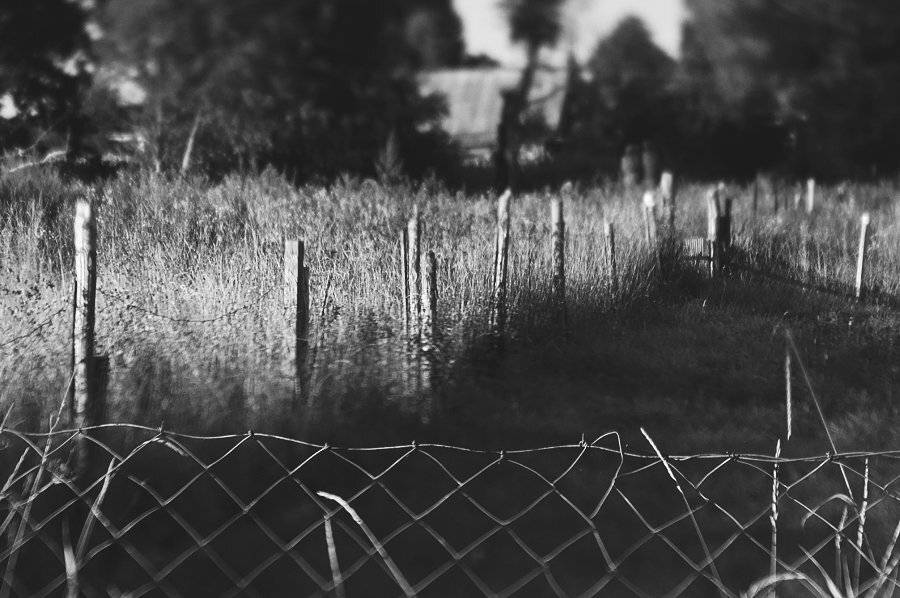 Two. Автор: Тимофеевский Валерий , Тимофеевский Валерий