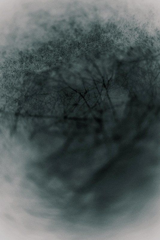 Прошедший сквозь.photo preview