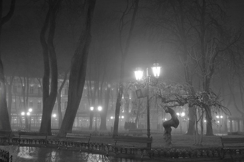 Горсадphoto preview