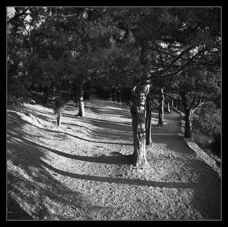 тениphoto preview