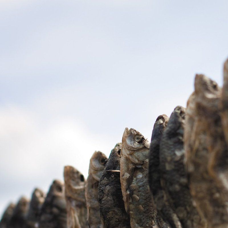 Отходная молитваphoto preview