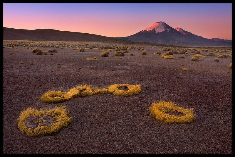 вулкан, паринакота, чили, национальный, парк, лаука, альтиплано, анды Вулкан Паринакота.photo preview