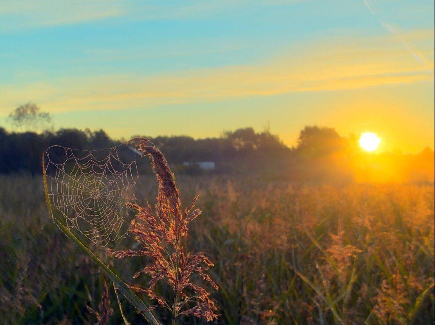 ~17~. Автор: zapravka2 , zapravka2