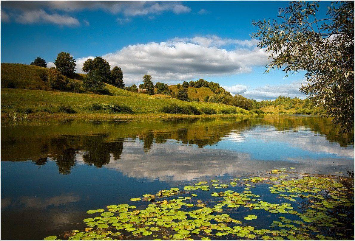 августовский Случь.. Автор: Николай Шахманцир , Николай Шахманцир