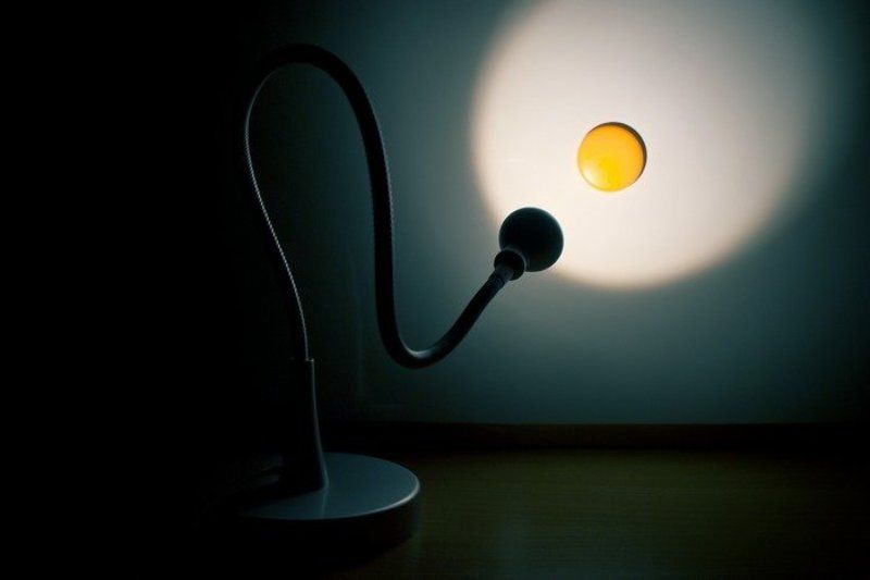 fried eggphoto preview