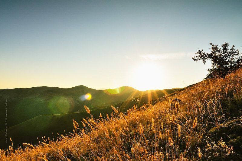 В конце летаphoto preview