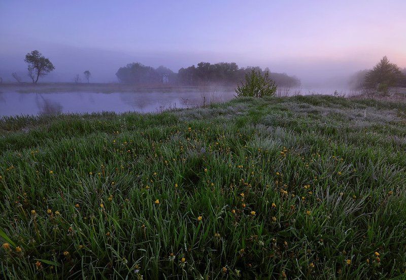 утро, река, весна, тишина весенние утро на рекеphoto preview