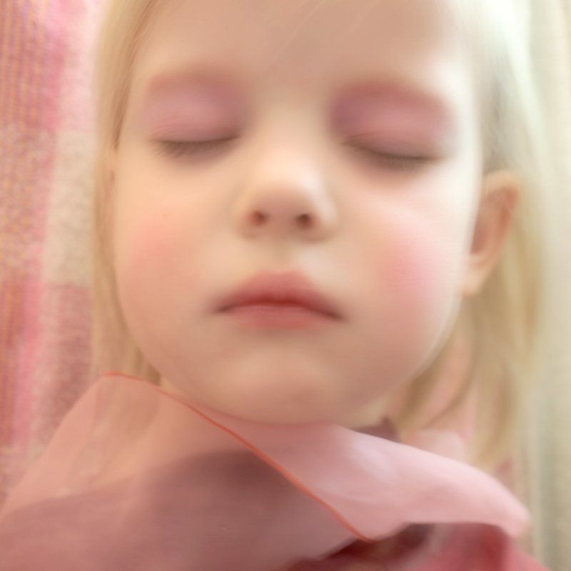 3132260photo preview