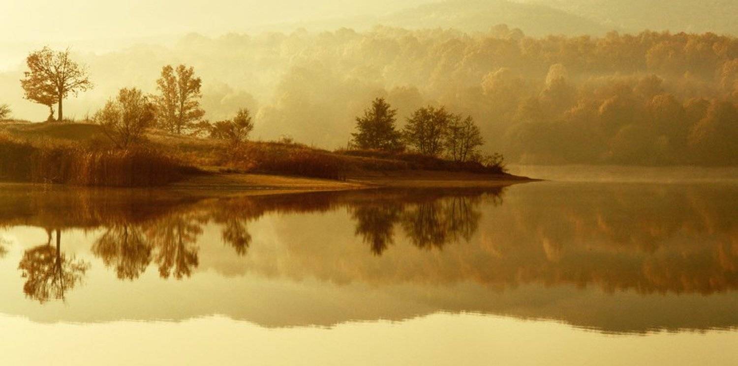 , Senna Ayd-Photographer