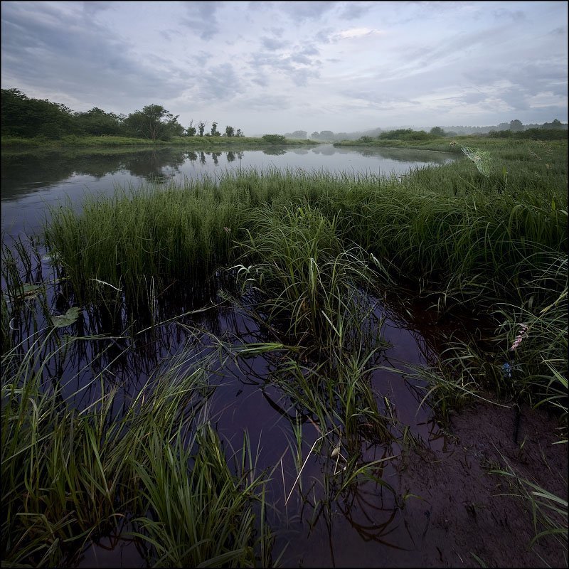 Тишина.photo preview