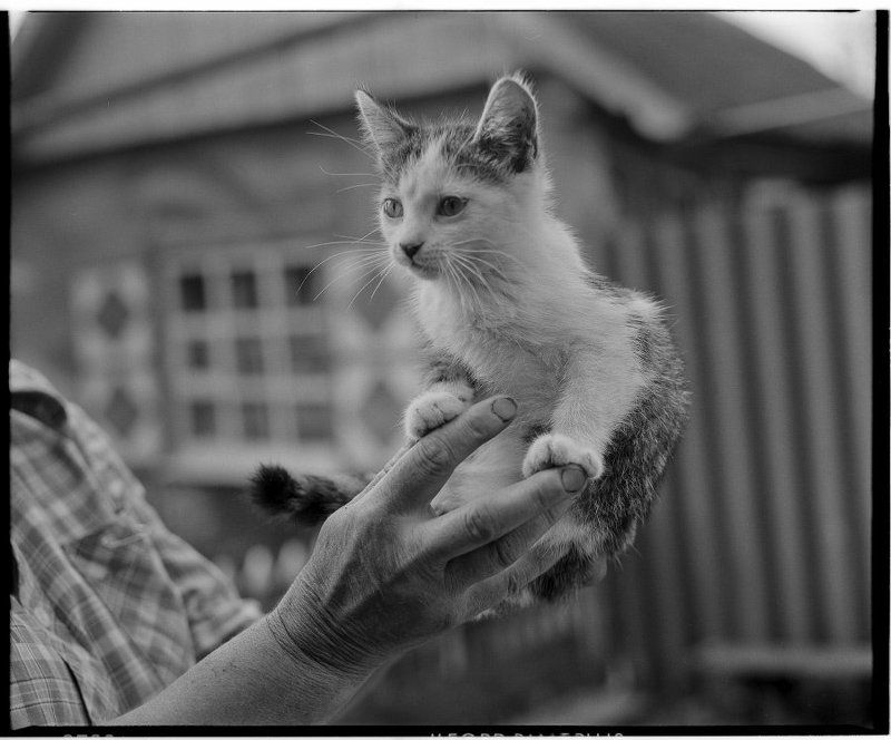 Без названияphoto preview