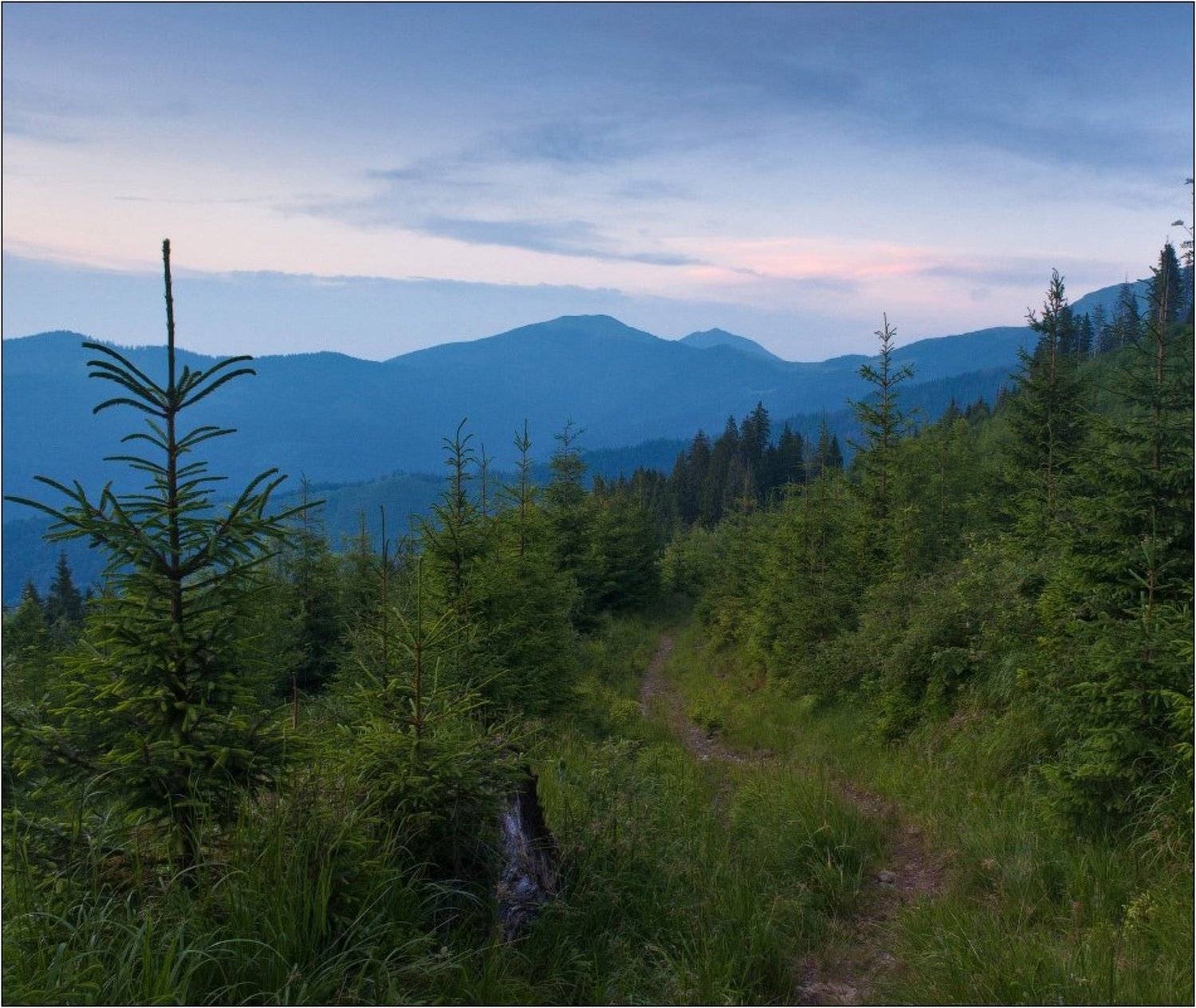 Приграничная тропа. Автор: Dmitry мармаросы, граница, румыния, Dmitry