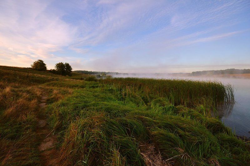 утро, тишина, туман, тропа рыбацкая тропаphoto preview