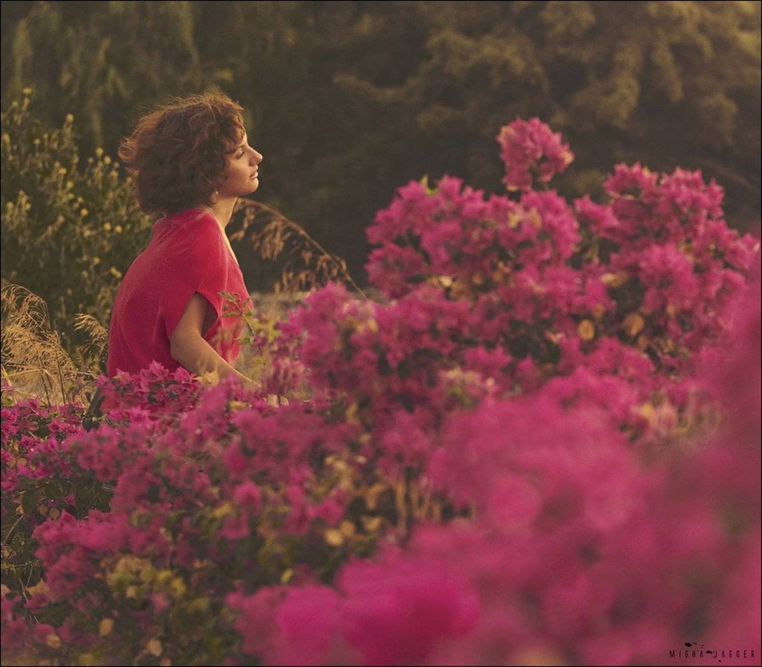 Flowers. Автор: Jagger , Jagger