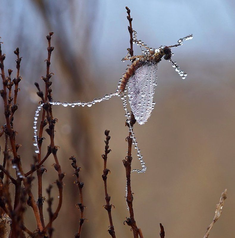 танец у шестаphoto preview