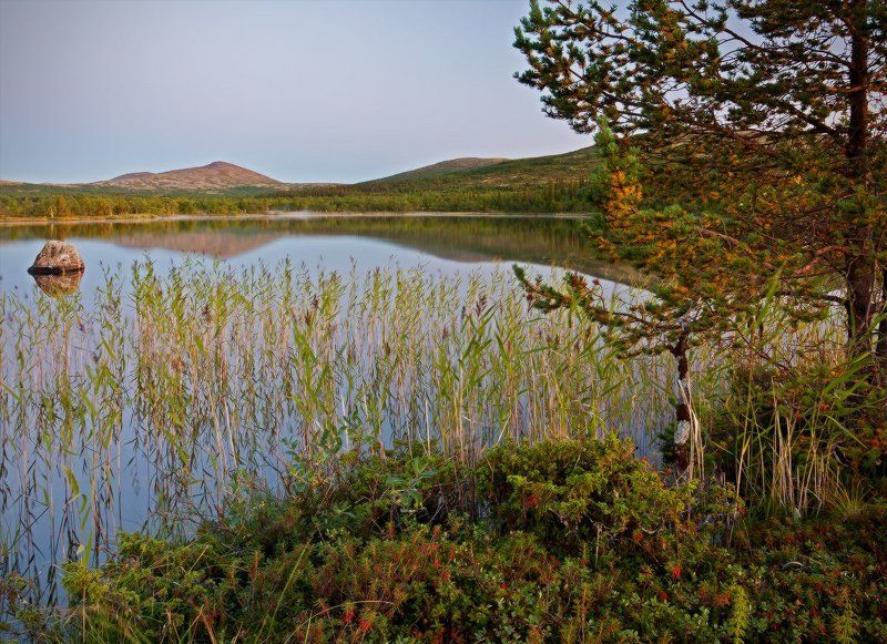 кольский, полуостров, озеро Вечернее умиротворение фото превью