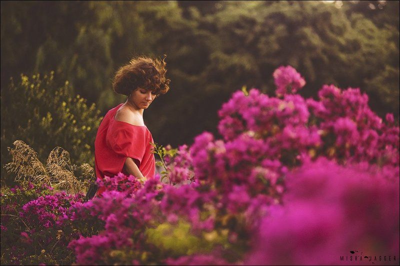 Flowersphoto preview