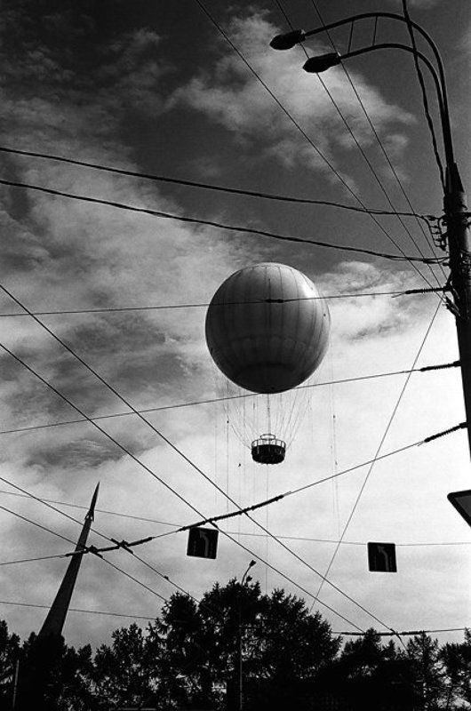 В паутине проводовphoto preview