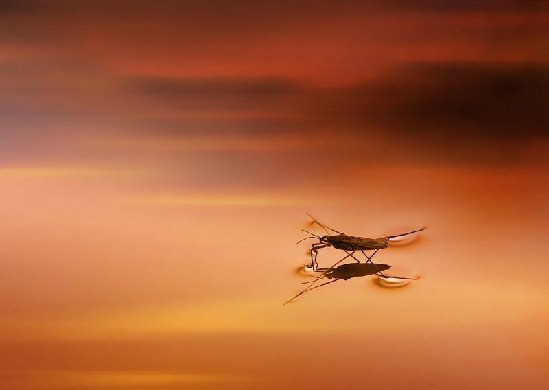 Между небом и водойphoto preview