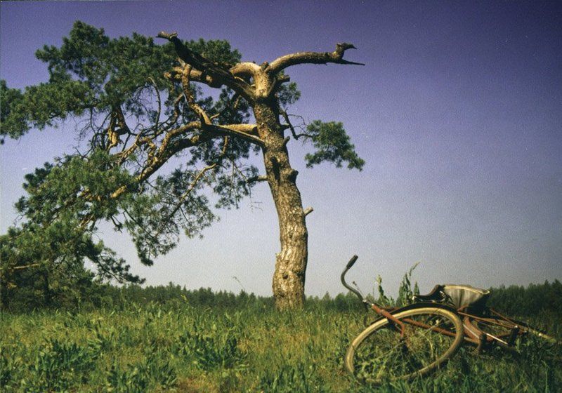 велосипед Этюд с лесапедомphoto preview