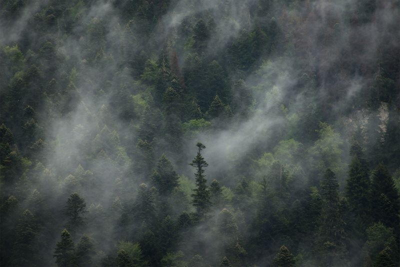 В облакахphoto preview