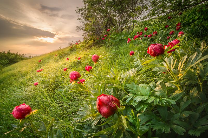 Landscapes in Bulgariaphoto preview