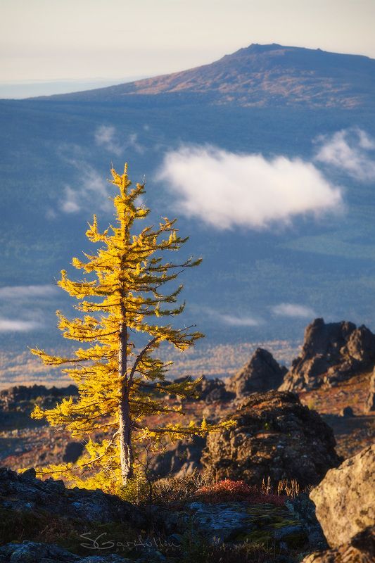 Урал, Северный Урал, Конжак, Серебрянка Дыхание осениphoto preview