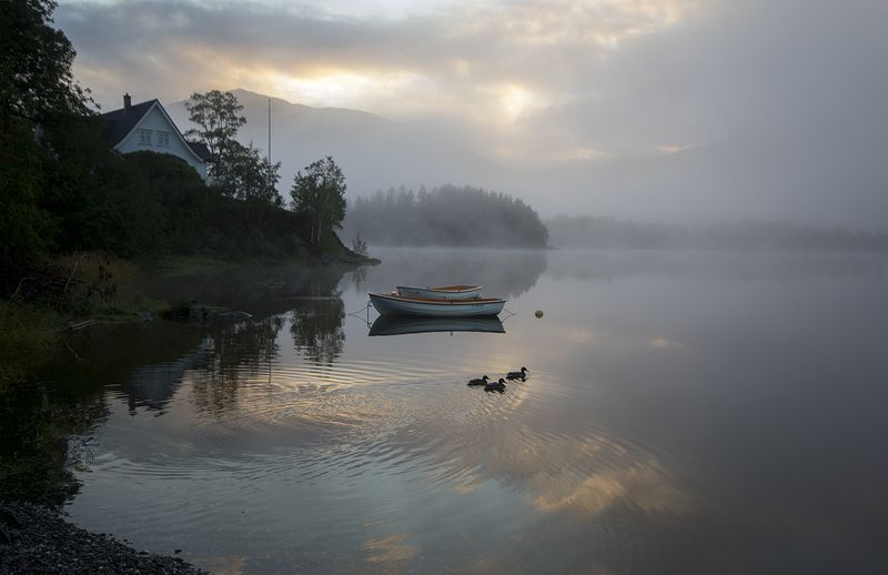 норвегия Утренняяphoto preview