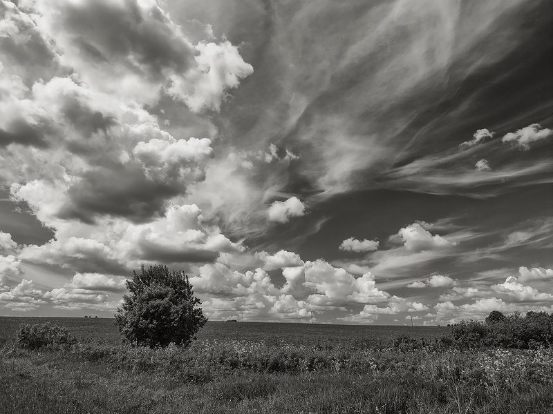 Поля....дороги...photo preview